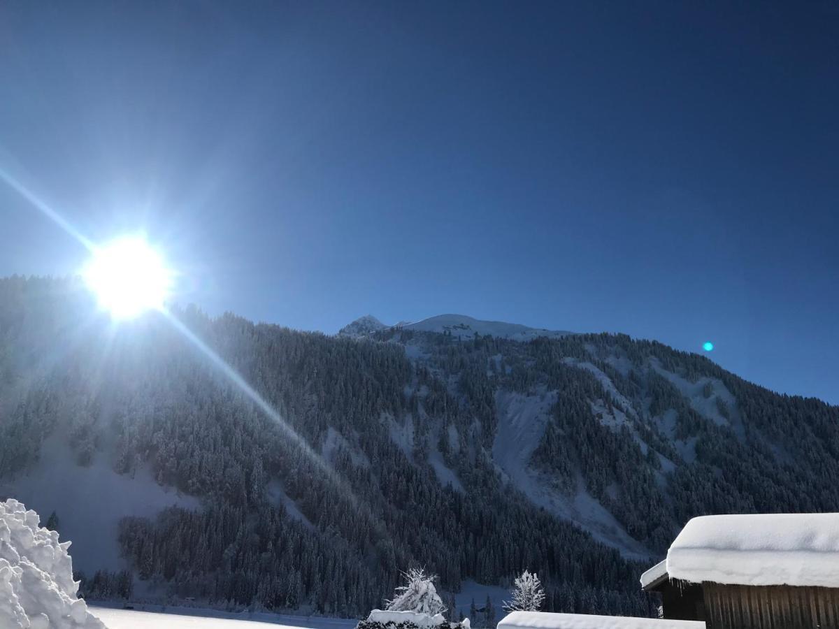 Ferienwohnungen Lingg Schoppernau Esterno foto